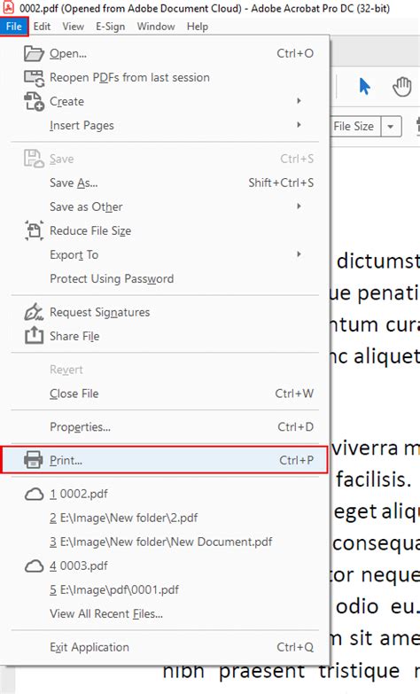 how to resize pdf file in adobe reader|How to Resize PDF File in Adobe Acrobat: Tutorial & FAQ .